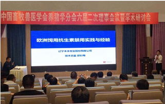 科技驅動未來 禾豐九月技術交流活動助推行業創新